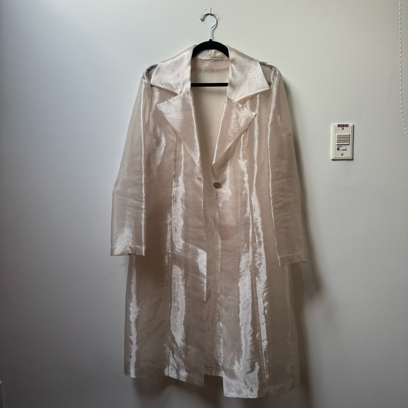 Sheer Champagne Organza Long Trench Coat with Notched Collar - Picture 1 of 4